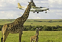 Uganda Flying Safari Holidays  