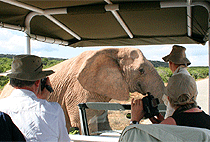 2 Days Amboseli Serena Safari Lodge Luxury Flying Safari 