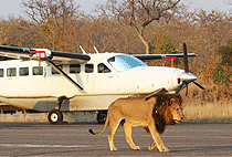 3 Days Tawi Lodge Amboseli Luxury Flying Safari Package