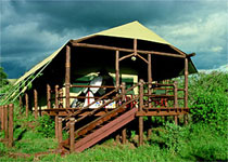 Serengeti Serena Kirawira Tented Camp, Tanzania 
