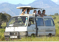 Mwaluganje Camp Game Drives - Kenya 