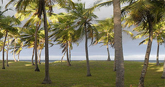 Alleyne House Kilifi 
