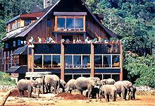 The Ark Forest Lodge in the Aberdare National Park