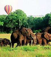 Balloon Safari at Governors