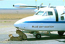 Bush Flights in Kenya