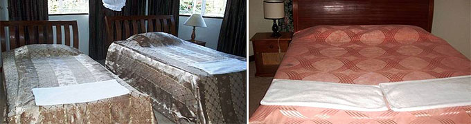 Bush House & Camp Nairobi 