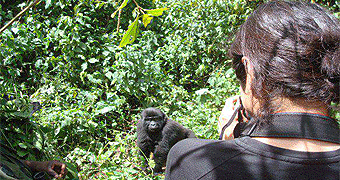 Bwindi Forest National Park
