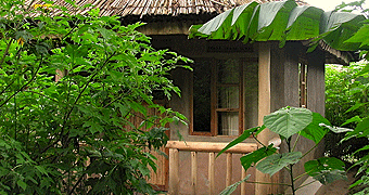 Wagtail Eco-Safari Camp