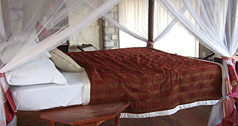 Cove Retreat Tree Houses