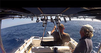 Mombasa Deep Sea Fishing