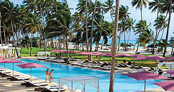 Diamonds Dream of Zanzibar