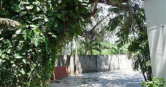 Diani Holiday Rental House 
