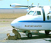 Domestic Flights in Kenya