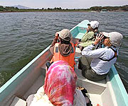 Boat Rides on Lake Naivasha