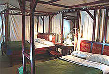 Fig Tree Camp Masai Mara 