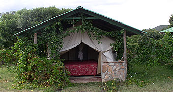 Flamingo Camp Masai Mara