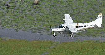 Flying Safaris