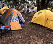 kilimanjaro forest camp