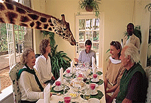 Giraffe Manor House Lunch, Karen Nairobi Kenya