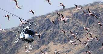 Helicopter Flight Safari 