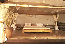 Honeymoon Safari in Kenya