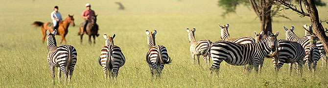 Horse Back Riding Safaris