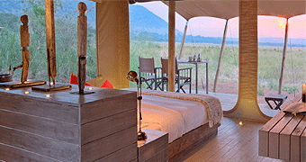 Kichwa Tembo Tented Camp