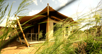 Kichwa Tembo Tented Camp