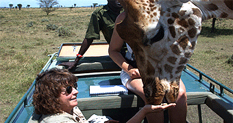 Kigio Wildlife Camp safari