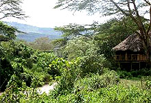 Kigio Wildlife Camp