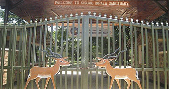 Kisumu Impala Sanctuary 
