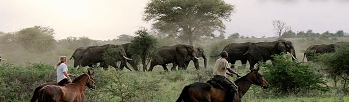Lake Manyara Ranch camp