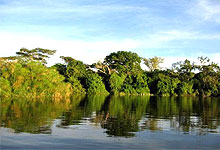 Lake Mburo National Park Boat rides in Uganda