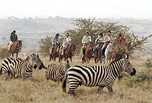 Lewa Downs Gamedrives by Horse Back Riding 