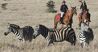 Lewa Downs Flying Safari