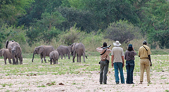 Lukula Selous Camp