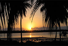 Mafia Island Beach