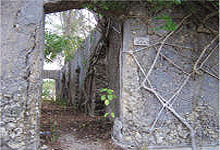 Mafia Island Ruins