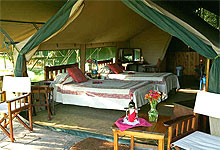 Main Governors Camp Masai Mara Kenya