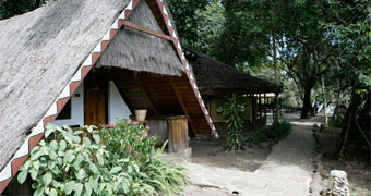 Mara Buffalo Camp