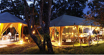 Mara Bush Camp 