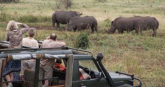 Meru National Park