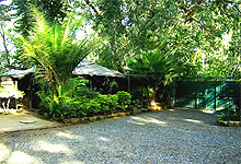 Milimani Backpacker Nairobi Cool Environment 
