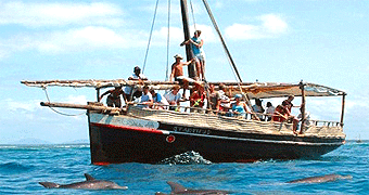 Dolphin and Snorkeling Mombasa