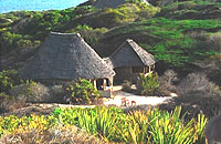 Munira Island Camp