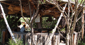 Nanyuki River Camel Camp