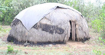 Nanyuki River Camel Camp