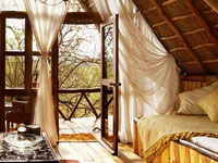 Your tree room at Ngong House