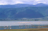 Ngorongoro Crater  lake Magadi