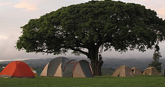 Ngorongoro Simba Campsite